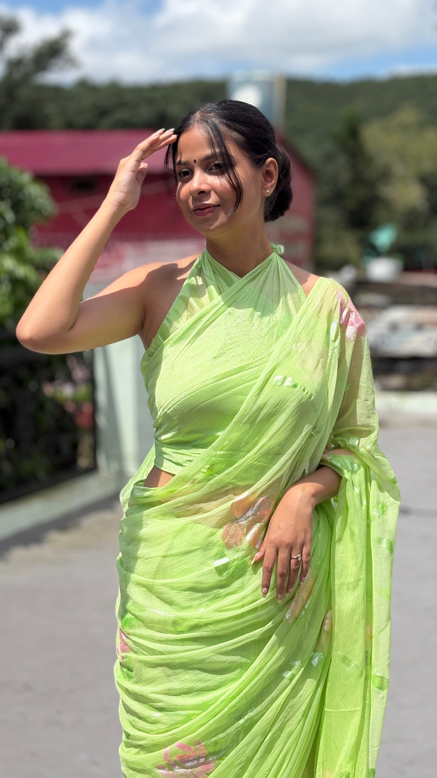 Hand-Painted Green Saree