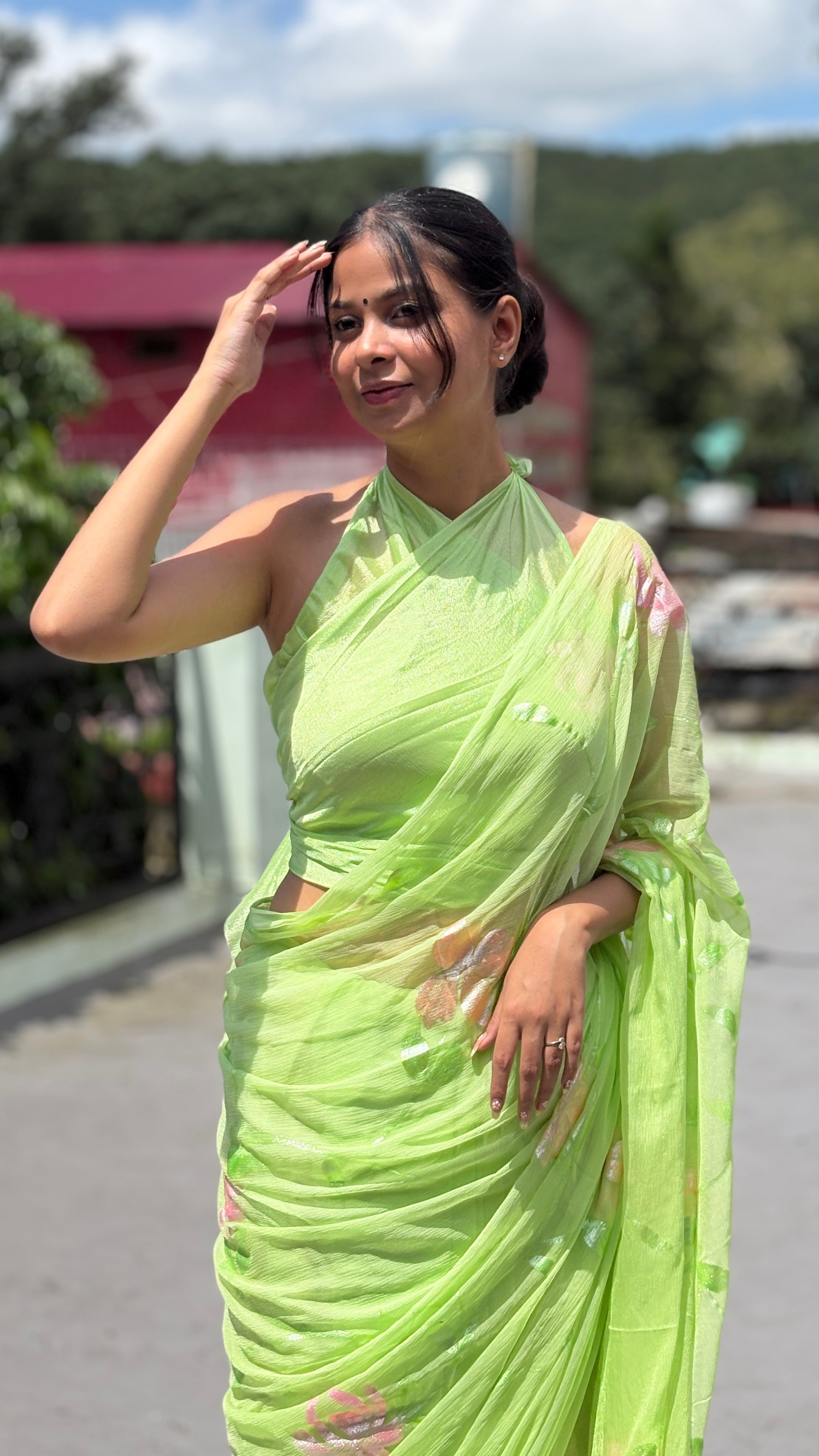 Hand-Painted Green Saree
